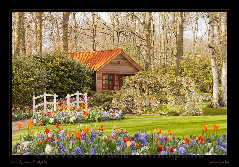 Keukenhof Hollandia 113.jpg